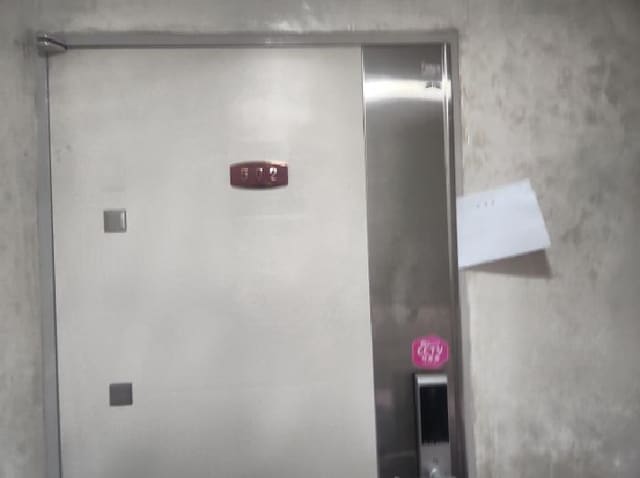B000240202501305119683.jpg