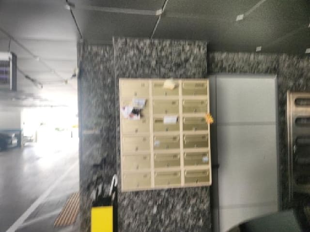 B000240202501305120384.jpg