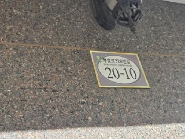 B000240202501305123172.jpg