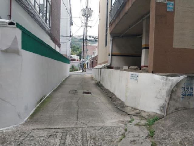 B000240202501305125023.jpg