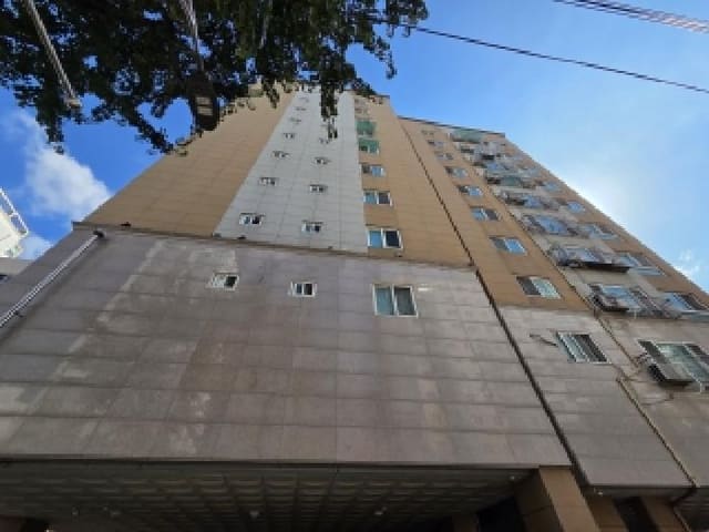 B000240202501305127091.jpg