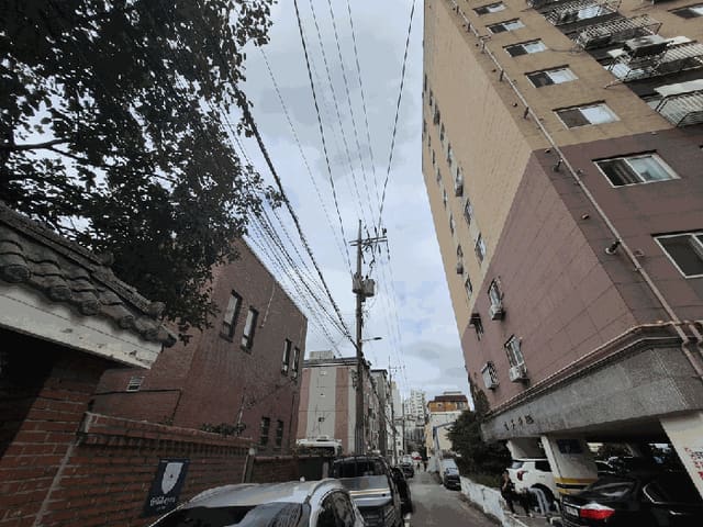 B000240202501305127234.jpg