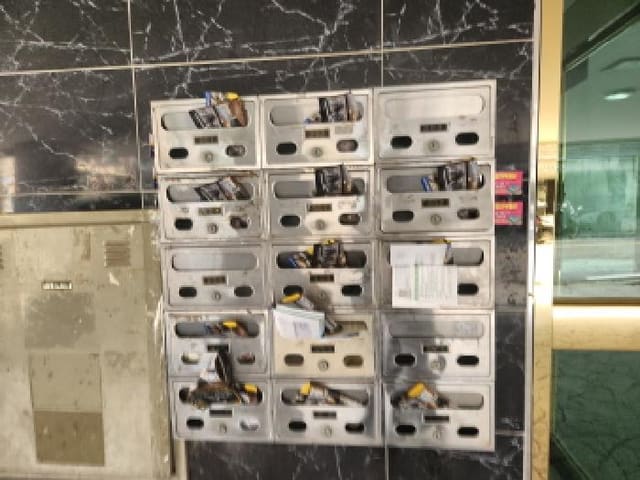 B000240202501305132874.jpg