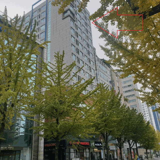 B000240202501305134139.jpg