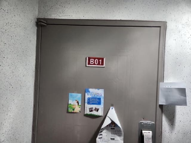 B000240202501305134653.jpg