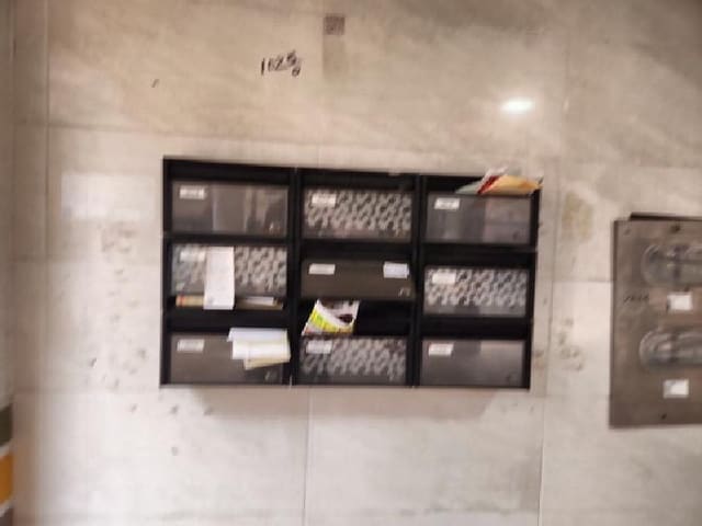 B000240202501305146824.jpg
