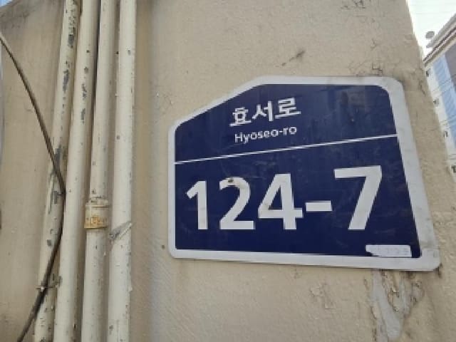 B000240202501305147312.jpg