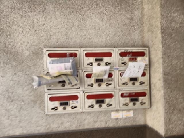 B000240202501305149464.jpg