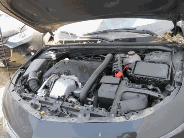 B000240202601305001364.jpg