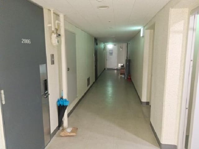 B000240202601305032981.jpg