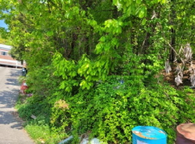 B000241202501300331771.jpg