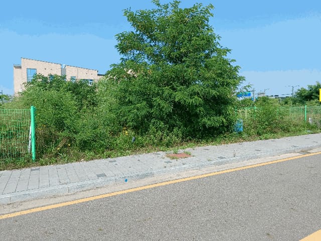 B000241202501300339764.jpg