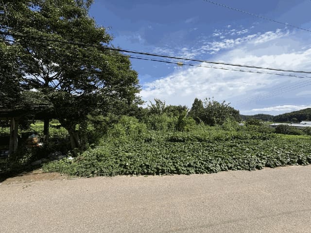 B000241202501300343713.jpg