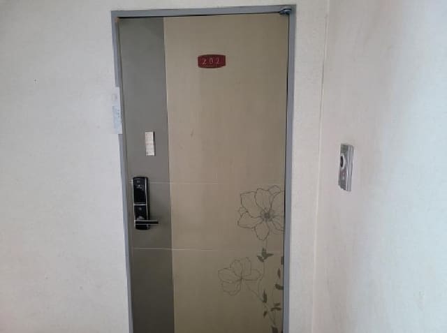 B000241202501300346153.jpg