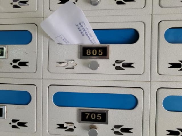 B000241202501300346554.jpg