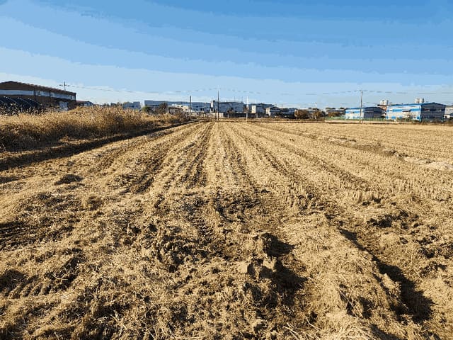 B0002412025013003486310.jpg