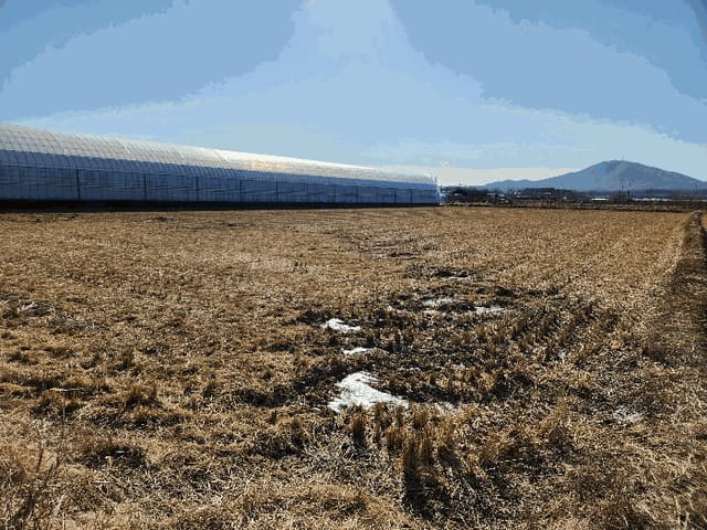 B000241202501300353274.jpg