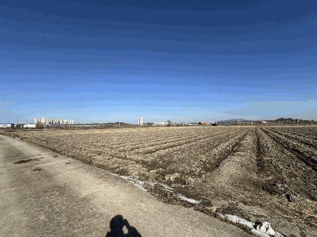 B000250202401300140144.jpg