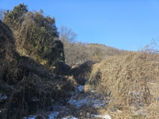 B000250202401300513032.jpg