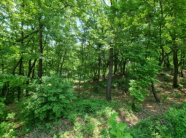 B000250202401300645901.jpg