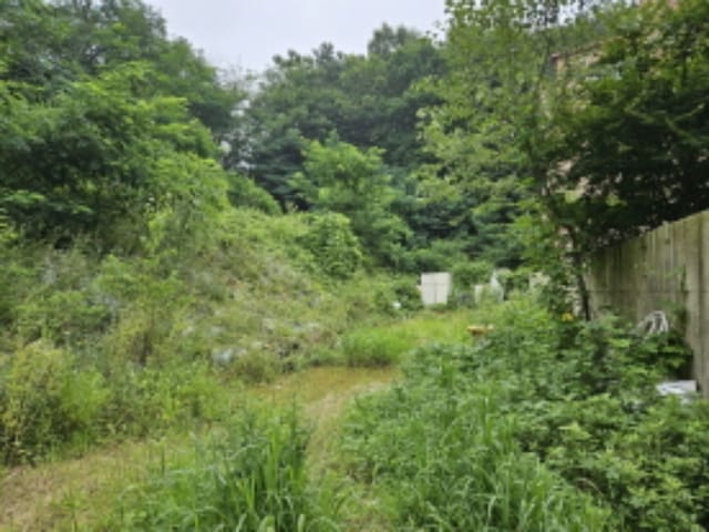 B000250202401300749931.jpg