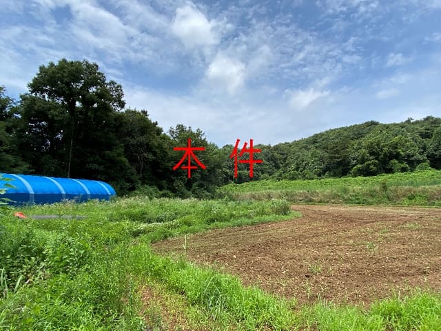 B000250202401300804314.jpg