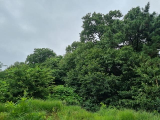 B000250202401300804313.jpg