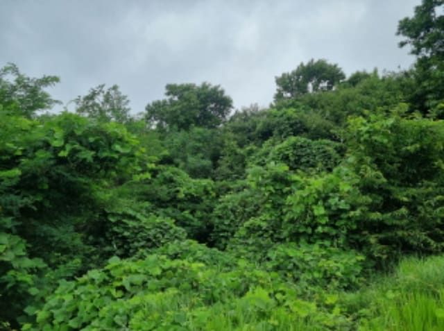 B000250202401300804312.jpg