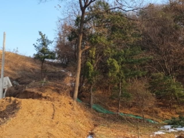 B000250202401300945462.jpg