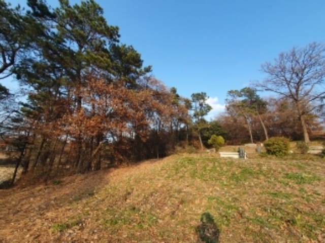 B000250202401300945463.jpg