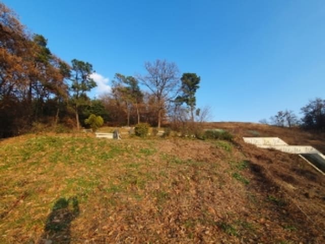 B000250202401300945464.jpg