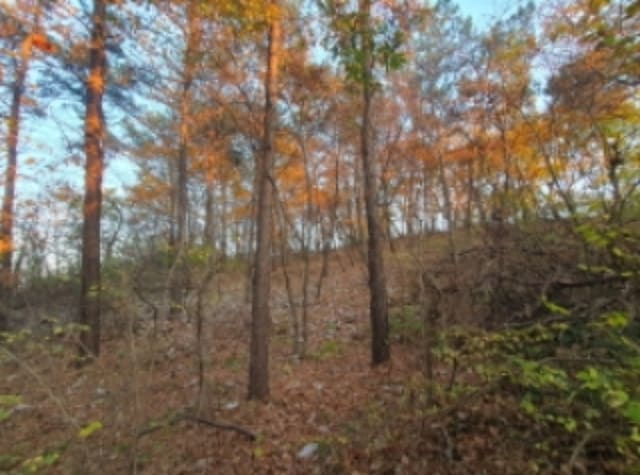 B000250202401300972932.jpg