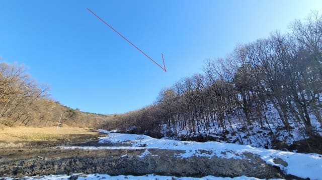 B000250202401300983194.jpg