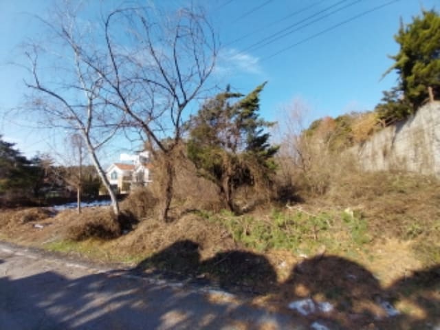 B000250202401300995581.jpg