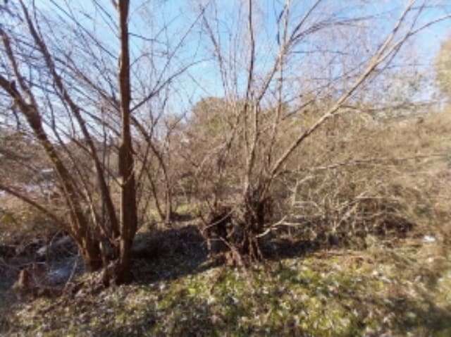 B000250202401300995582.jpg