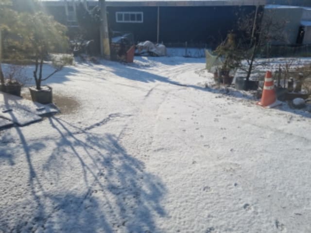 B000250202401301013144.jpg