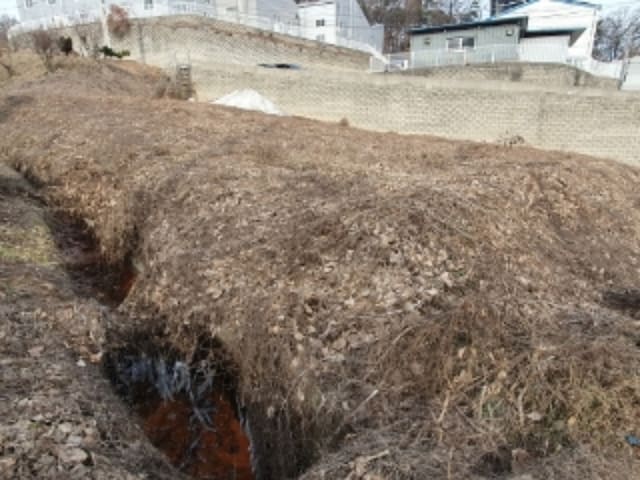 B000250202401301020961.jpg