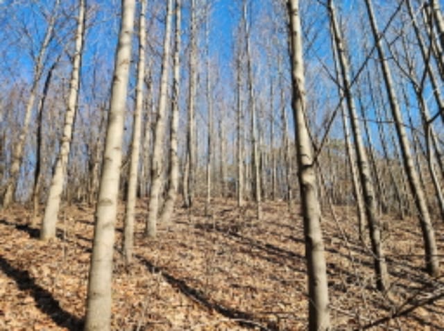 B000250202401301041082.jpg