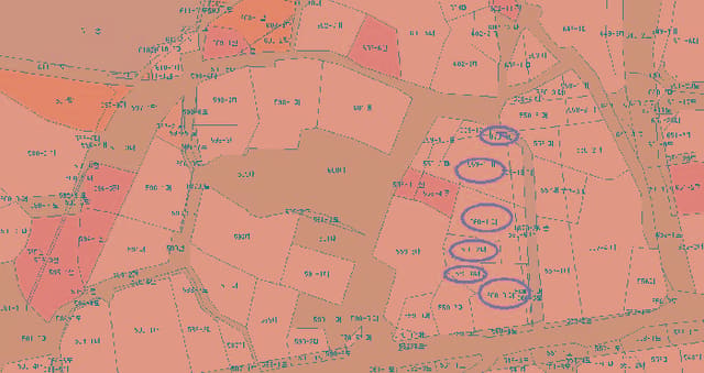 B000250202501300002581.jpg
