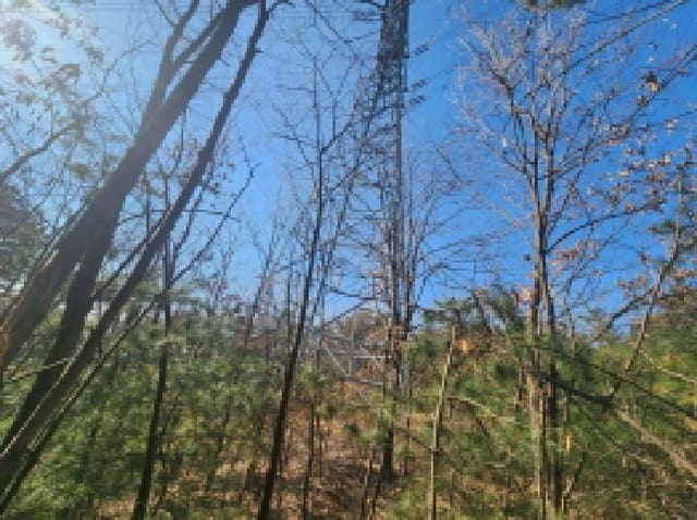 B000250202501300009132.jpg