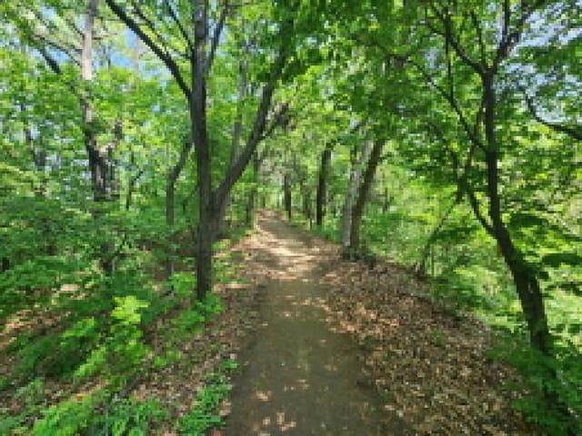 B000250202501300010664.jpg