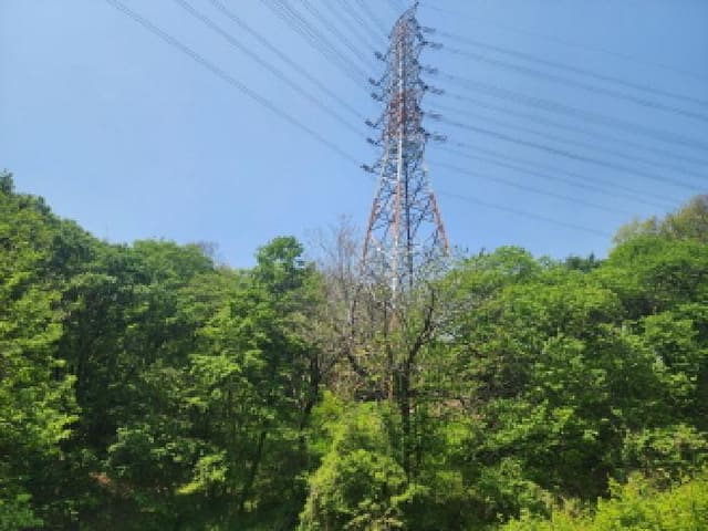 B000250202501300010663.jpg