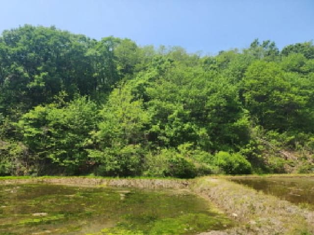B000250202501300010661.jpg