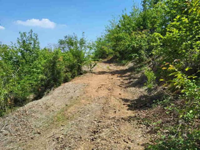 B000250202501300011561.jpg