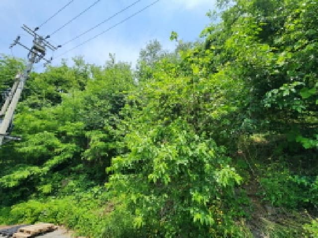 B000250202501300012021.jpg