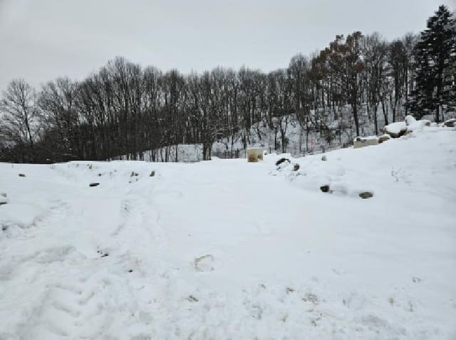 B0002502025013005024612.jpg