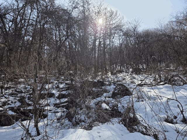 B000250202501300530924.jpg