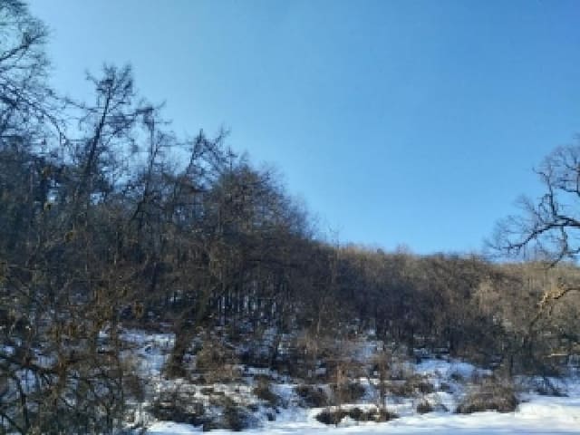 B000250202501300530922.jpg