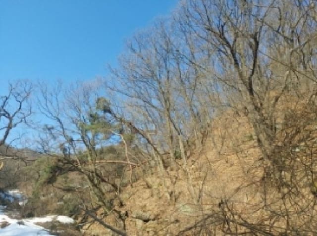B000250202501300530923.jpg