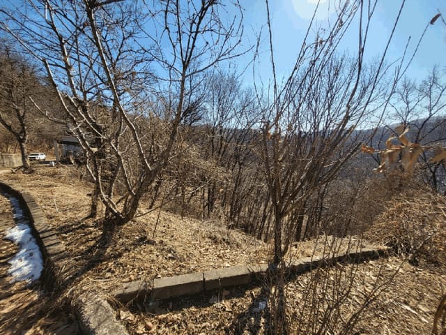B000250202501300543123.jpg